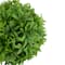 Solar Lighted Artificial Eugenia Topiary Balls Set, Warm White Lights